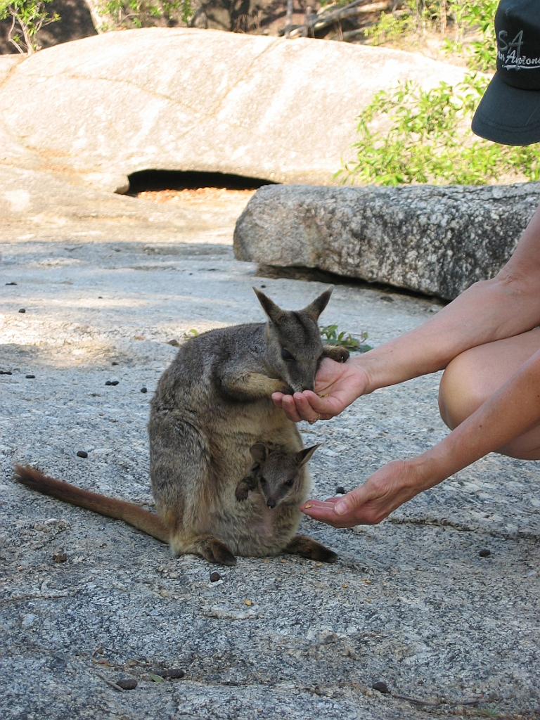 091 Granite Gorge.jpg